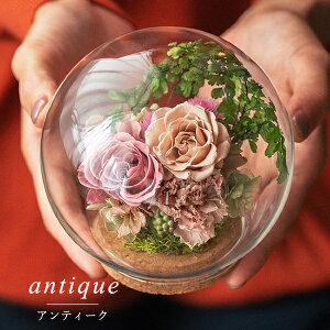  ~   V~ vU[uht[ dp @ uU[ht[ vU[uht[      ފ ʖ V ʎ @v d d  r 