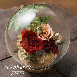  ~   V~ vU[uht[ dp @ uU[ht[ vU[uht[      ފ ʖ V ʎ @v d d  r 