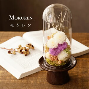  ~   V~ vU[uht[ dp @ uU[ht[ vU[uht[      ފ ʖ V ʎ @v d d  r 