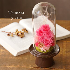  ~   V~ vU[uht[ dp @ uU[ht[ vU[uht[      ފ ʖ V ʎ @v d d  r 