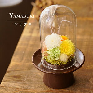  ~   V~ vU[uht[ dp @ uU[ht[ vU[uht[      ފ ʖ V ʎ @v d d  r 