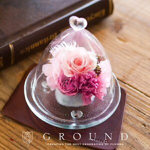 vU[uht[ Mtg d  jd j v[g Fl  z  LO v[g e  Ȃ ސEj v[g   @   Ê 