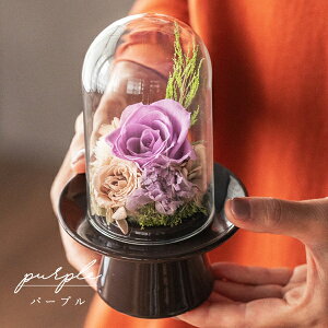  ~   V~ vU[uht[ dp @ uU[ht[ vU[uht[      ފ ʖ V ʎ @v d d  r 