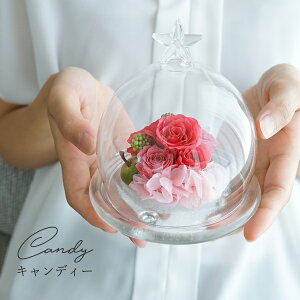 vU[uht[ Mtg a y jd d   e i җ Ê  P Ď  j җj Êj j Ďj 77 80  ސE ސEj 