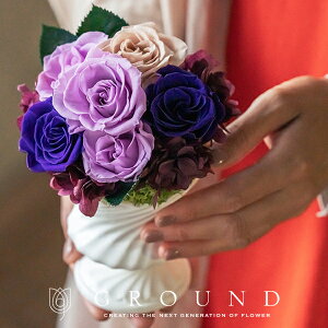   ~ vU[uht[ uU[h AWg  @     O     ybg l\ @v  @v  