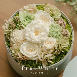 ̓ vU[uht[ ̓ v[g vU[uht[  `  Mtg J[l[V ̓Mtg d   {bNX LO  av[g 