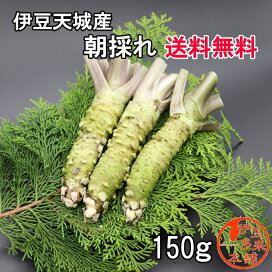 wasabi150-300.jpg?fitin=272:272