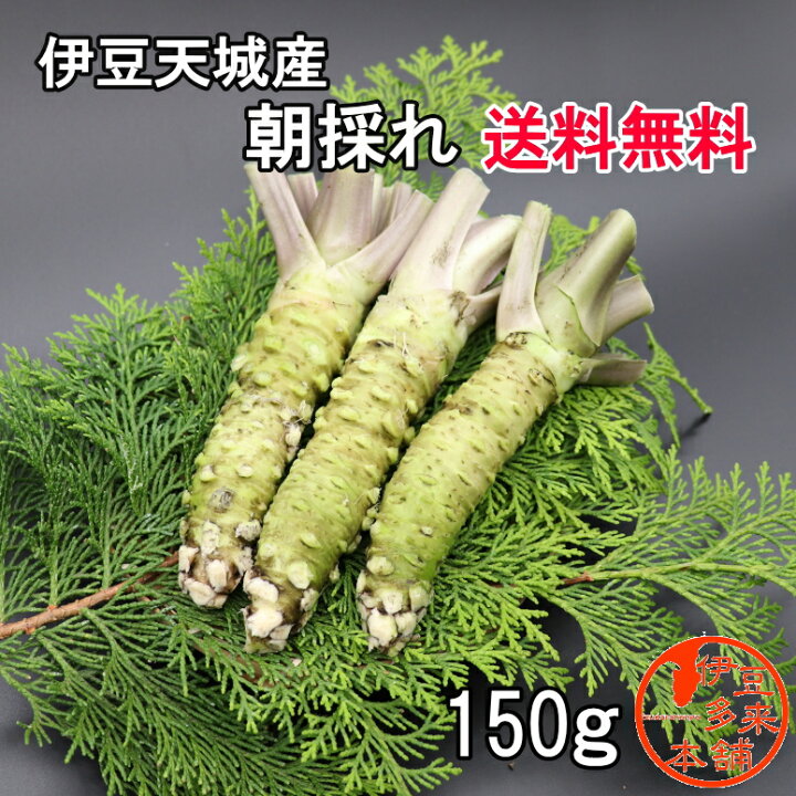 楽天市場】【クール便】【送料無料】☆静岡県伊豆天城産 新鮮 生わさび 