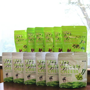 yzy12܁zIׂ J̈ɓ킳уsX^`IE킳т[Zbg12܁y}g^A}ցzÉɓߓyYlCDYouTube}tBAcƒI킵ႪTV