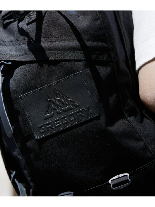 楽天市場】【SALE／30%OFF】GREGORY / グレゴリー 別注 デイパック 