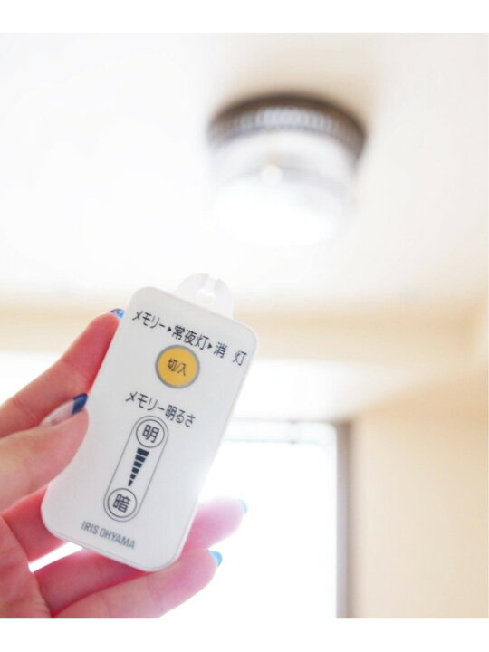 楽天市場】【SALE／20%OFF】ROCHESTER CELING LIGHT ロチェスター 