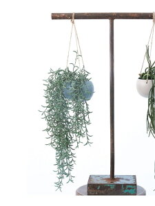 yBrown./uEzz nMO|bg tFCNO[ JOURNAL STANDARD FURNITURE W[iX^_[ht@j`[ CeAEG t[x[XEԕr O[yz[Ra