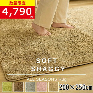 y݌Ɉ|Z[6680~4790~zuO2wł܂v O VM[O 􂦂 I[V[Y 200×250 3p }CNt@Co[VM[ k h_j ~ߕt zbg