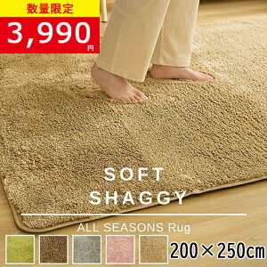 y݌Ɉ|Z[6680~3990~zuO2wł܂v O VM[O 􂦂 I[V[Y 200×250 3p }CNt@Co[VM[ k h_j ~ߕt zbg