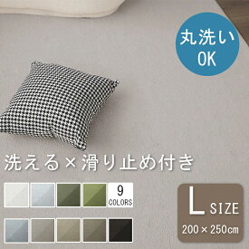 カーペット ラグ 洗える 200*250 2畳半用 シンプル 洗えるラグ ふかふか こどもに優しい じゅうたん 春夏秋冬 オールシーズン マット 敷物 ラグマット ラグカーペット リビング おしゃれ