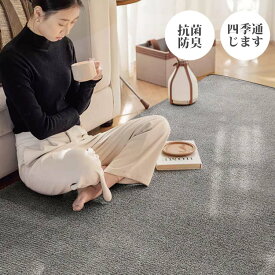 カーペット ラグ 洗える 130*185 185*185 185*235 3サイズ選択可 2畳用 シンプル 洗えるラグ ふかふか こどもに優しい じゅうたん 春夏秋冬 オールシーズン マット 敷物 ラグマット ラグカーペット リビング おしゃれ