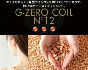 GEMMATSU }CNJg G-ZERO COIL No12 W[[RC 6 