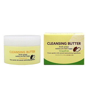 fBXgWFC NWOo^[ 90g@̏ŗnCNƑfȂށc