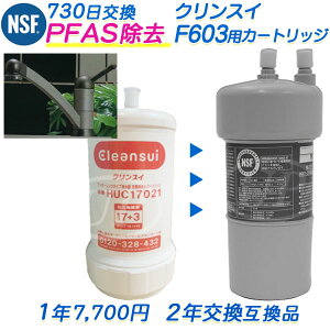 NXC F603J[gbW i2N^CvjHUC17021݊ [PFASΉ] i݊/ėpijyzyRSLz