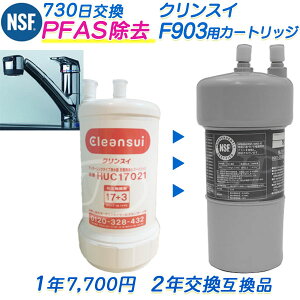 NXC F903J[gbW i2N^CvjHUC17021݊ [PFASΉ] i݊/ėpijyzyRSLz