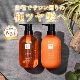 [髪のうねりパサつきに]弱酸性 pH5.5 シャンプー トリートメント 髪質補修 ノンシリコン くせ毛 ダメージケア アミノ酸 頭皮クレンジング フケ かゆみ ケラチン ハリ コシ ストレート サラサラ 乾燥肌 敏感肌 美容室専売 美容院 サロン 女性 ボトル 冬ギフト クリスマス