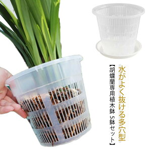胡蝶蘭の植え替え 胡蝶蘭 植木鉢 5鉢セット 透明 排水穴付き 屋内 屋外 鉢 プラスチック 蘭の鉢 オーキッドポット 観葉植物 植木鉢 多肉植物 洋蘭 蘭鉢 プランター 保育園ポット ミニ植木鉢