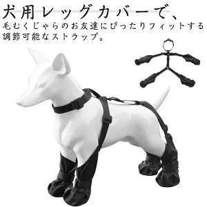  C EȂ pbOJo[ pu[c TXy_[ TXy_[t pu[c pu[cMX ߉\ ~ ybgp \bNX O EH[LO U y h