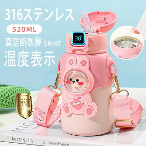 qp XeX  520ML @r Xg[t  2Way^Cv X|[chNΉ Y_Ή ۗ ۉ ^fM L 316XeXX`[   qǂ w LbY 