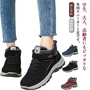 EC^[V[Y ~p Xj[J[ ~p {A fB[X Xm[u[c {AXj[J[ g Y  ӂӂ 傫TCY C h h y IV V ʋ