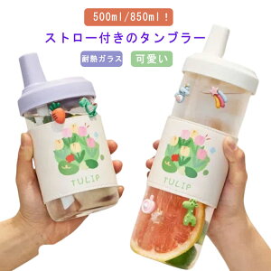 Xg[t^u[ Xg[  KX{g 500ml ϔMKX e ʊw NA  LbY   q ~j TCY Xg[t uVt ӂt Wt }O{g