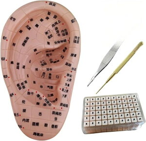 c{ ͌^ ̖͌^ c{͌^ ڃV[ 17cm ږ͌^ ڃWG[