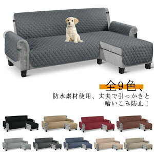 S9F \t@Jo[ }`   It 邾 \t@[V[g \t@[Jo[ h L^ It 􂦂 3l| H R[i[ R[i[\t@ Jo[ \t@ }`Jo[