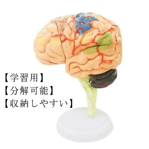 ]͌^ 4D 32p[c ] ͌^ wK w U  W l̖͌^ ]f ]݂ ] dg _ow w _o