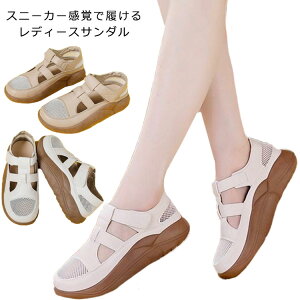 rT_ fB[X X|[cT_ bVXj[J[  V[Y C Xgbv  ؂ ɂ ₷ ₷ y ɂȂ X|T JWA ăT_