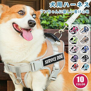 ybgpn[lX EȂ Ȃ  nht ȒP ^ ^ ^    O n[lX 