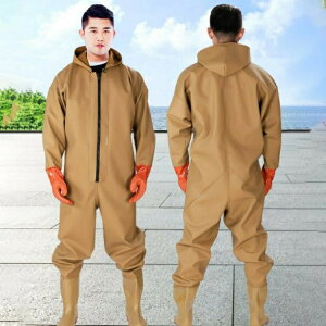  hȂ tC EF[_[ `FXgnCEF_[ 傫TCY hX h JV fB[X t[ht cA