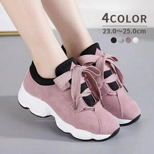 Xj[J[ C V[Y fB[X  wl  { [XAbv {[\[ 킢  JWA