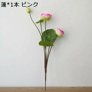  @ [^X i { CeA A[gt[ ԑ u[P  ͂Ȃ lHϗtA VN  Bep 蕨 v[g   j rO