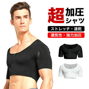 Vc Y t@Xi[ Ci[ Ci[Vc  Ci[ ؃g Ci[}bX g[jO Y̘rVFCp[Vc ^Cv Yp UlbN Vl