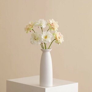  CeA ԕrZbg {   Iȑ AȎ CeA  F tFCNt[ rO  t[3 X ItBX g J