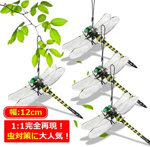 y1~8CZbgz g{N Ij}  12.5cm 傫TCY QVG ObY 悯΍ Xgbv A {݂ ϋv tBMA AEghA Oނ 