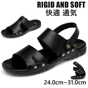 r[`T_ Y T_ T}[ r[T ][gT_ jp y C  ̓ MtgΉ 240TCY310TCY܂