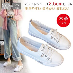 {v Xj[J[ fB[X  wlC b [XAbv Xj[J[ tbgV[Y ₷ fB[X U[ Xj[J[ fB[X q w ʊw 2.5cm [q[ JWA C