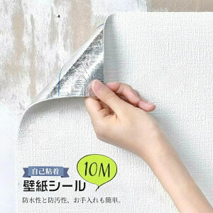 ǎ 10m  ǎV[  h hɂD ǎ ^C ͂ lC̃Lb` ʏ gC CeA n DIY ϖՐ h S Cɂ\ 嗝 h Lb` 