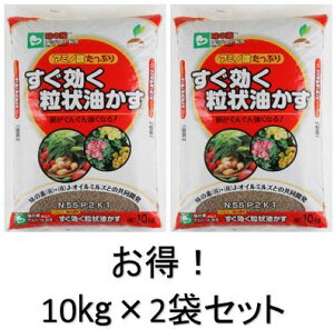 �y���������z �y�����z �y2�܃Z�b�g�z �������� ���� ������ 10kg ���� ���̑f �L�@ �엿 �� ��� JOY�A�O���XN:5.5 P:2 K:1