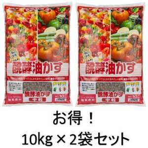 �y���������z �y�����z �y2�܃Z�b�g�z ���y������ ���� 10kg ���y ���� �L�@ �엿 �� ��� JOY�A�O���XN:4 P:6 K:1