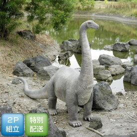 置物インテリア 恐竜草原のブロントザウルス / Brontosaurus　fr080130