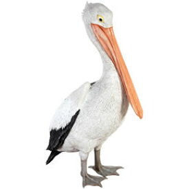 ペリカン置物動物インテリア動物オブジェ おすましペリカン / Standing Pelican
