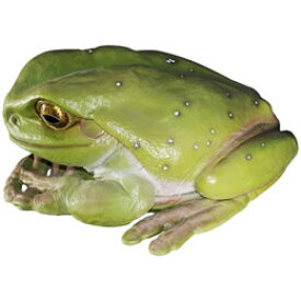 置物インテリア 動物大きいカエル動物オブジェ でかいカエル / Frog Jumbo　fr090012