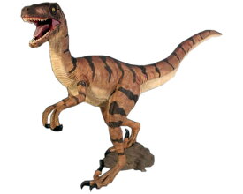 ヴェロキラプトル / Velociraptor　　 fr110015